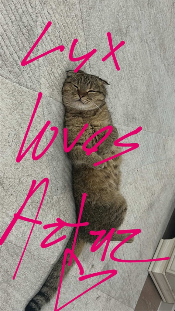 Lux loves Artur