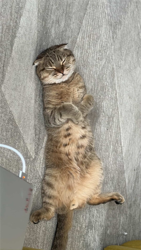 Lux sleeping